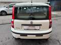 Fiat Panda Panda 1.2 Emotion 69cv Euro5 Blanc - thumbnail 4