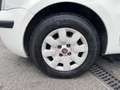 Fiat Panda Panda 1.2 Emotion 69cv Euro5 Blanc - thumbnail 15