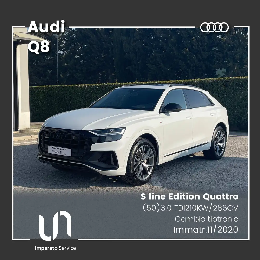 Audi Q8 (50) 3.0 TDI Tiptronic Quattro S line Edition Bianco - 1
