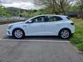 Renault Megane S.T. 1.5dCi Blue R.S. Line 85kW Blanco - thumbnail 8