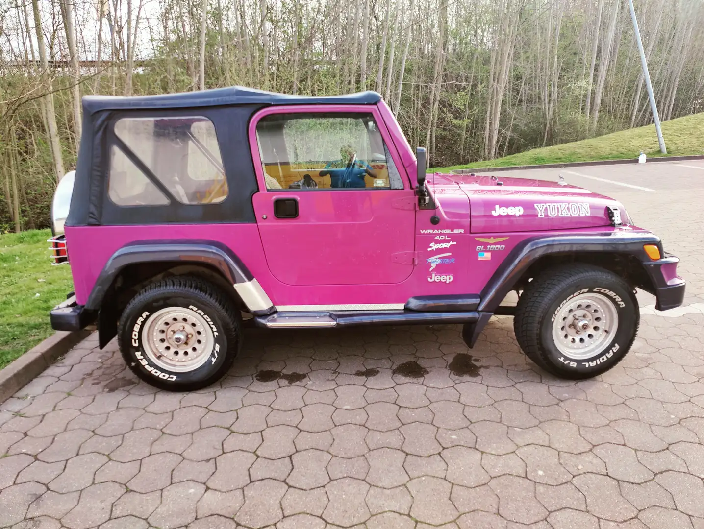 Jeep Wrangler Wrangler 4.0 Burdeos - 2