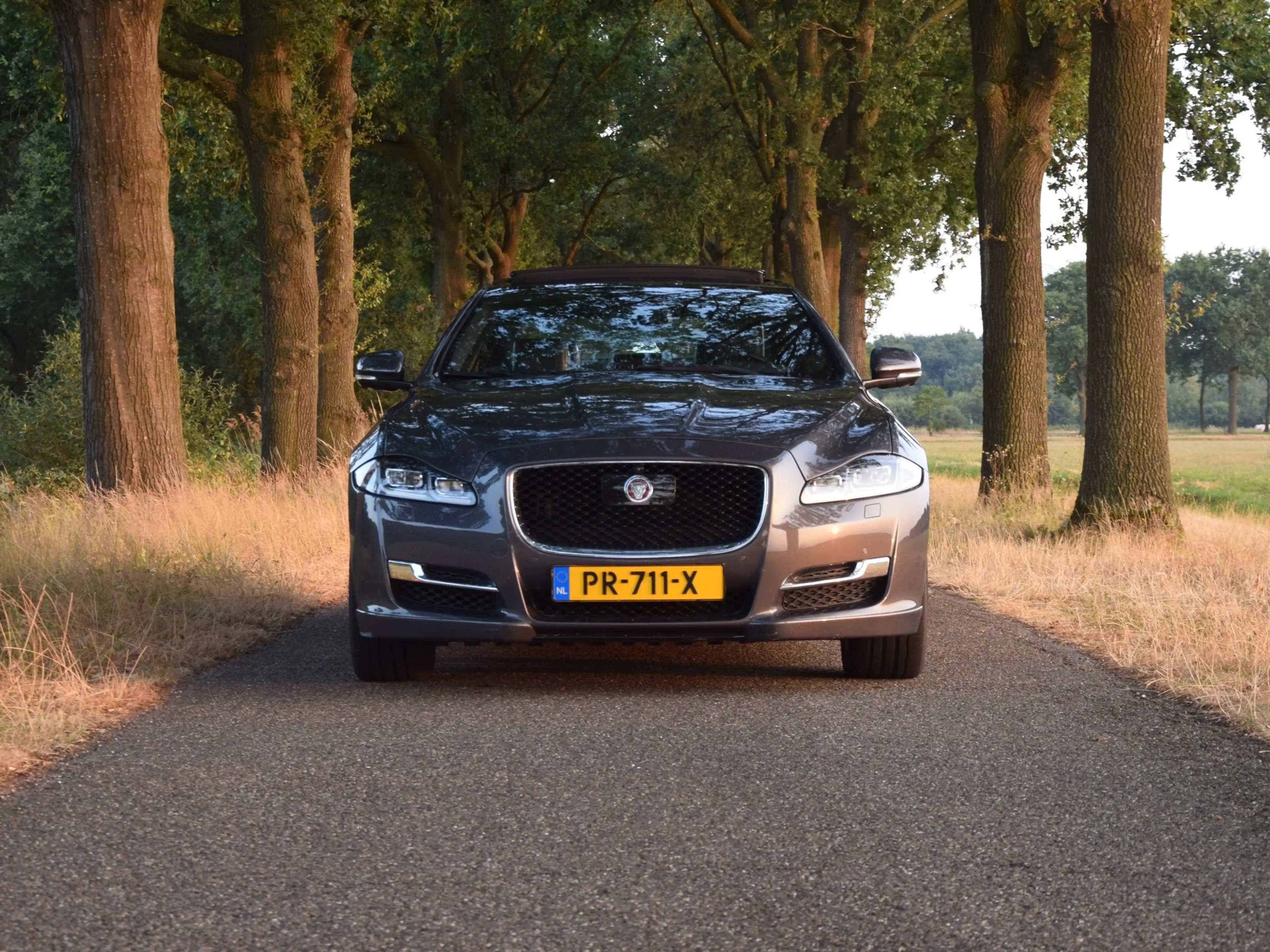 Jaguar XJ 3.0 D R-Sport - Tempest Grey - 260.537km - Y2017 — photo 13