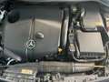 Mercedes-Benz B 200 200 CDI BUSINESS EXECUTIVE 7G-DCT Schwarz - thumbnail 11