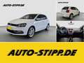 Volkswagen Polo 1.4 TDI Highline TEMP SITZH BLUET PDC USB Weiß - thumbnail 1
