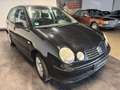 Volkswagen Polo IV Cricket Schwarz - thumbnail 5