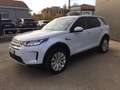 Land Rover Discovery Sport Discovery Sport 2.0d td4 mhev S awd 180cv auto Biały - thumbnail 1