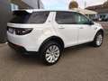 Land Rover Discovery Sport Discovery Sport 2.0d td4 mhev S awd 180cv auto Fehér - thumbnail 4