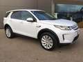 Land Rover Discovery Sport Discovery Sport 2.0d td4 mhev S awd 180cv auto White - thumbnail 2