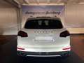 Porsche Cayenne GTS Pano AHK Kamera Memory Bose Alcantara Blanc - thumbnail 16