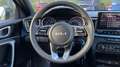 Kia Sonstige 1.0 T-GDI STYLE EDITION MY25 100CV 5P Grau - thumbnail 14