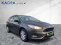 Ford Focus 1.0 Business Edition NAVI+SITZHZ+PARKSENSOR Gris - thumbnail 6