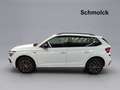 Skoda Kamiq Drive 1.0 TSI DSG 116 PS NAVI BLACK LED Weiß - thumbnail 2