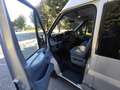 Ford Transit Grigio - thumbnail 14
