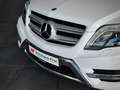 Mercedes-Benz GLK 220 4Matic*AMG*Traumhaft*Leder-braun*Pano* Weiß - thumbnail 15