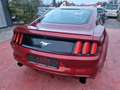 Ford Mustang 2.3 EcoBoost Navi/Volleder/Xenon Rot - thumbnail 8