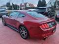 Ford Mustang 2.3 EcoBoost Navi/Volleder/Xenon Red - thumbnail 10