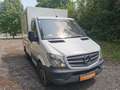 Mercedes-Benz Sprinter 209 CDI mit Kühlanlage Weiß - thumbnail 9