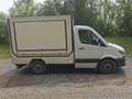 Mercedes-Benz Sprinter 209 CDI mit Kühlanlage Weiß - thumbnail 3