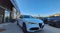 Alfa Romeo Stelvio Veloce TI 2,2 16V 210 AT8 Q4 Weiß - thumbnail 11