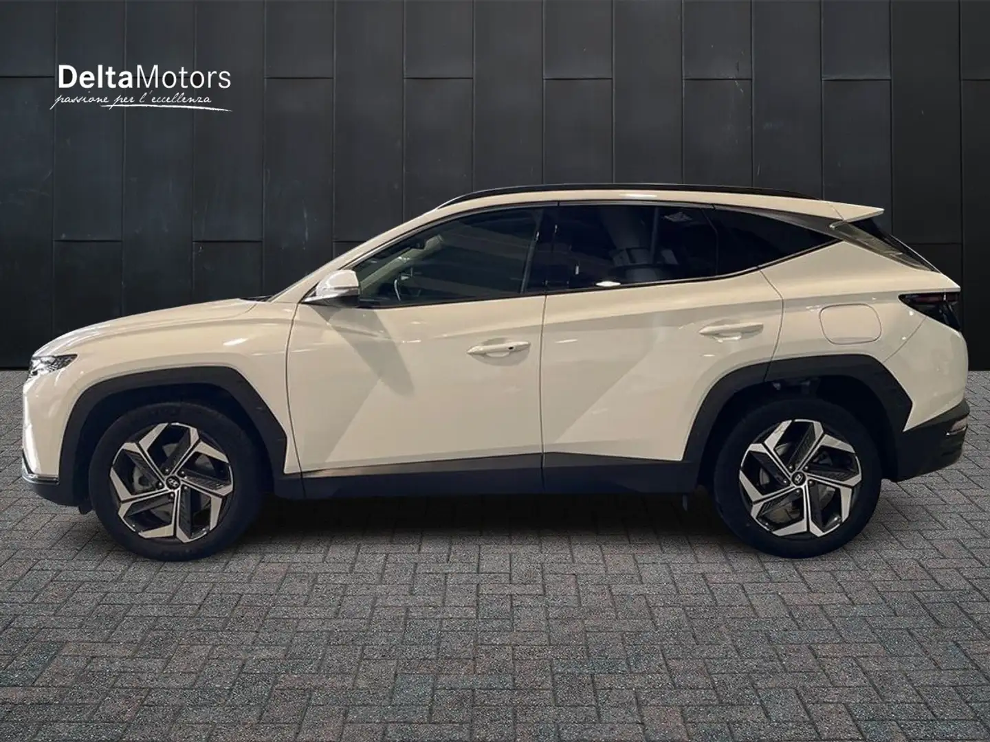 Hyundai TUCSON 3ª serie - Tucson 1.6 HEV aut. XLine Bianco - 2