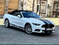 Ford Mustang Cabrio 2.3 Eco Boost - thumbnail 3