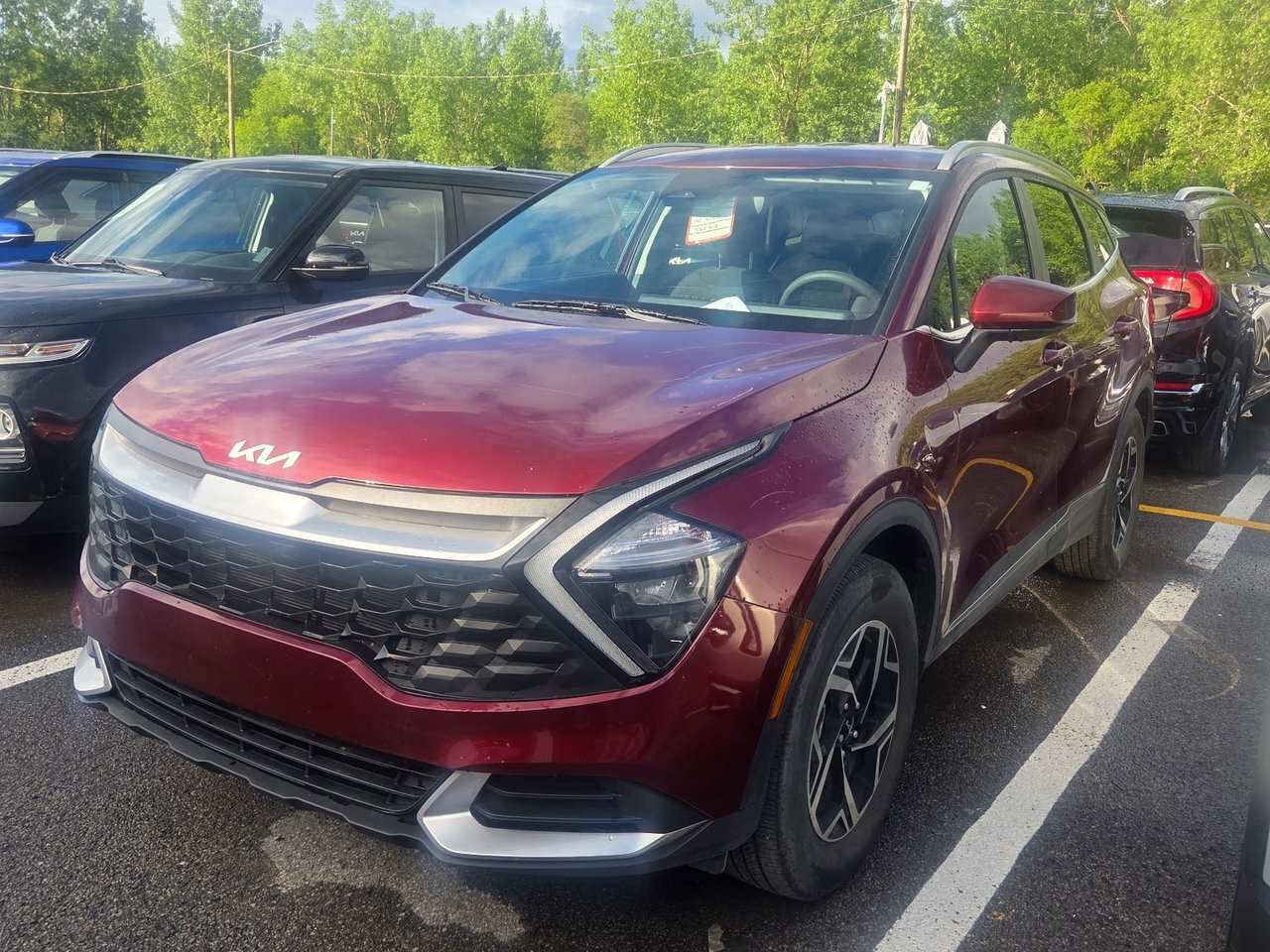 2025 Kia Sportage Ex premium | Jamais accidenté | Caméra de recul |