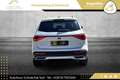 SEAT Tarraco 2,0 TDI Xcellence DSG 4Drive // AHK // VOLLE HÜ... Weiß - thumbnail 6