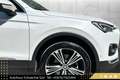 SEAT Tarraco 2,0 TDI Xcellence DSG 4Drive // AHK // VOLLE HÜ... Weiß - thumbnail 13