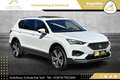SEAT Tarraco 2,0 TDI Xcellence DSG 4Drive // AHK // VOLLE HÜ... Weiß - thumbnail 5