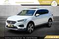 SEAT Tarraco 2,0 TDI Xcellence DSG 4Drive // AHK // VOLLE HÜ... Weiß - thumbnail 21
