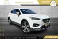 SEAT Tarraco 2,0 TDI Xcellence DSG 4Drive // AHK // VOLLE HÜ... Weiß - thumbnail 7