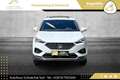 SEAT Tarraco 2,0 TDI Xcellence DSG 4Drive // AHK // VOLLE HÜ... Weiß - thumbnail 20