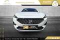 SEAT Tarraco 2,0 TDI Xcellence DSG 4Drive // AHK // VOLLE HÜ... Weiß - thumbnail 9