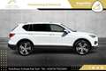 SEAT Tarraco 2,0 TDI Xcellence DSG 4Drive // AHK // VOLLE HÜ... Weiß - thumbnail 19