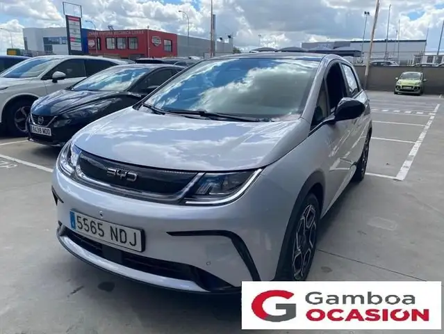 BYD Dolphin Design