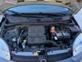 Fiat Panda 1.2 Lounge 69cv *Unico Proprietario Perfetta * Grigio - thumbnail 13