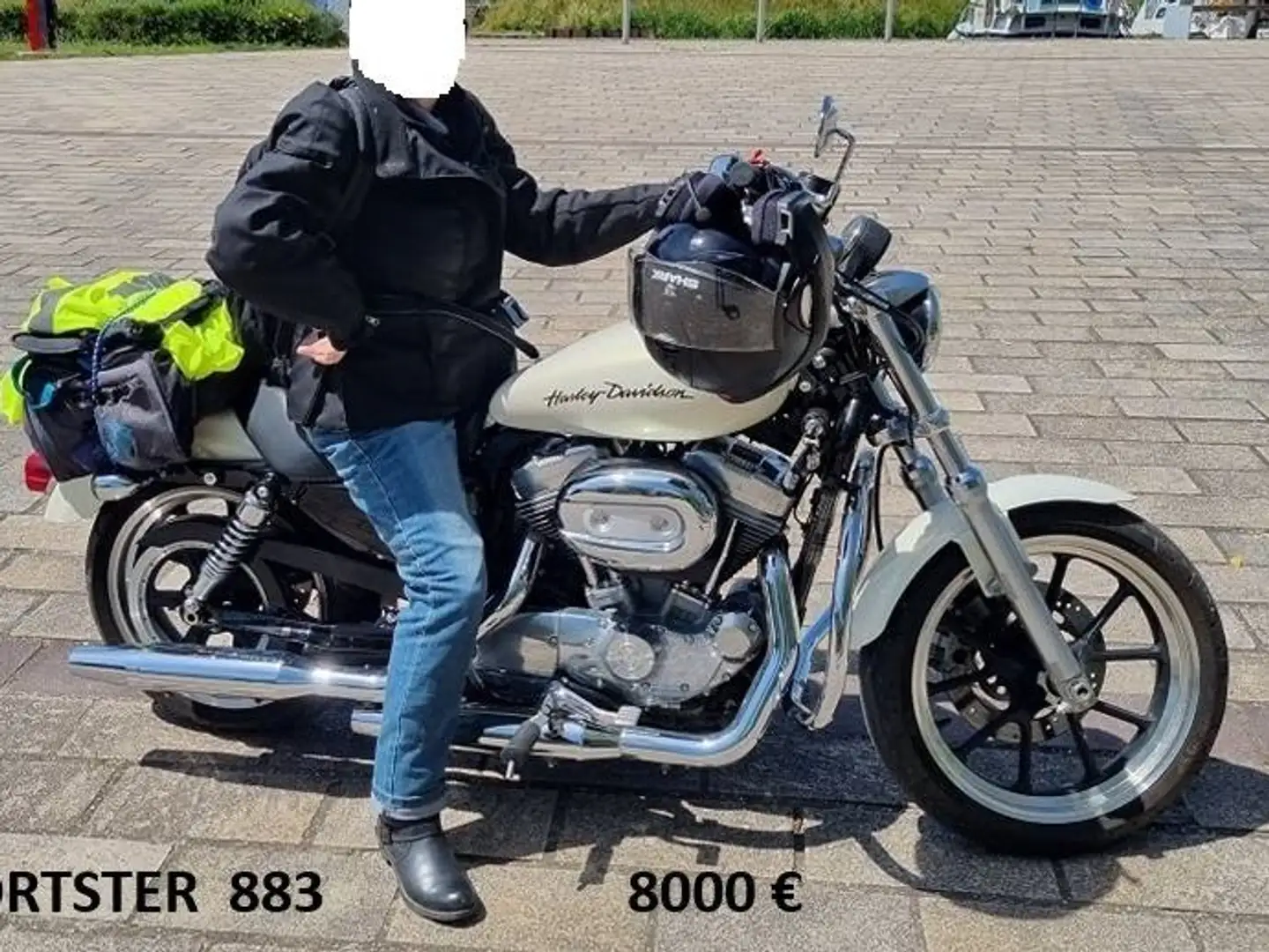 Harley-Davidson Sportster 883 Super Low (extra basse - spécial pour Madame) Blanc - 1