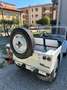 Fiat Campagnola 1.900 Diesel Hard Top Autocarro Bílá - thumbnail 11