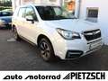Subaru Forester Exclusive 2.0 D AWD AHK LED SHZ Standhe Weiß - thumbnail 1