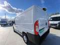 Fiat Ducato Fg. 30 2.3Mjt L1 H1 120CV Blanco - thumbnail 5