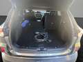Ford Kuga Plug-In Hybrid Titanium X Grau - thumbnail 14