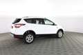 Ford Kuga FORD Kuga 2.0 TDCI 120 CV S&S 2WD Powershift Busin Blanc - thumbnail 3