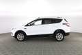 Ford Kuga FORD Kuga 2.0 TDCI 120 CV S&S 2WD Powershift Busin Blanc - thumbnail 6