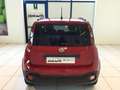 Fiat Panda S9 1.0  Hybrid Pandina - PROMO MESE + TARGA Rot - thumbnail 7