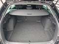 Skoda Octavia Essence TDI Schwarz - thumbnail 13