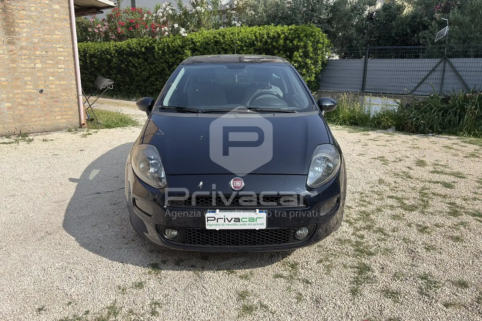 Fiat Punto Punto 1.3 MJT II S&S 85 CV 3 porte ECO Lounge Blu/Azzurro - 2
