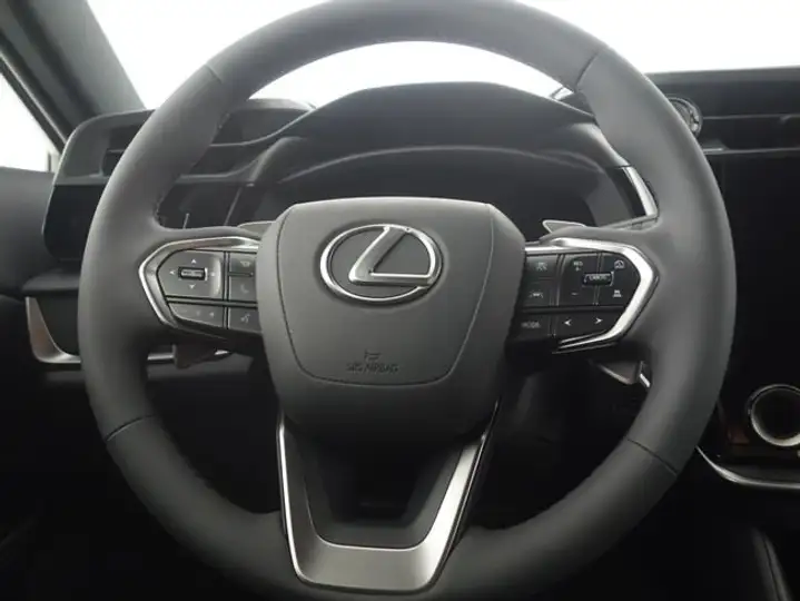 Lexus RZ 350e e-PREMIUM EFFICIENCY FWD 2026, foto 16