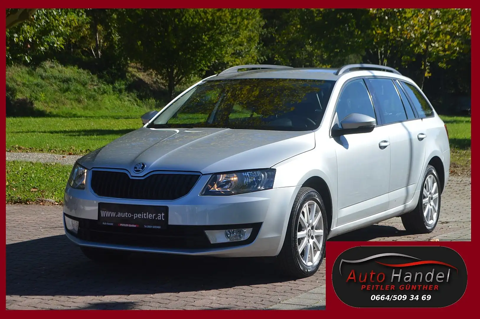 Skoda Octavia Combi 1,6 TDI 4x4+Pickerl Neu+ Zilver - 1