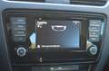 Skoda Octavia Combi 1,6 TDI 4x4+Pickerl Neu+ Zilver - thumbnail 16