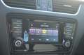 Skoda Octavia Combi 1,6 TDI 4x4+Pickerl Neu+ Zilver - thumbnail 13